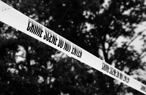 MP: Tribal Man Shot Dead in Vidisha Over Suspected Theft of Wood From ...