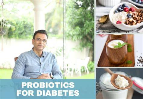 Unlocking the potential benefits of probiotics for diabetics