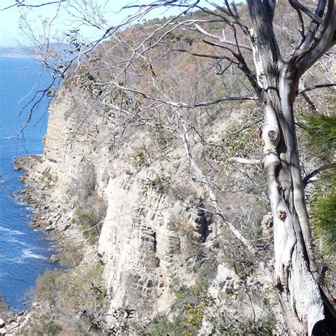 ALUM CLIFFS TRACK - All You Need to Know BEFORE You Go 2026 (with ...
