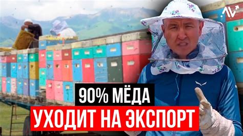 ДЕНЬГИ на МЁДЕ – КАК и СКОЛЬКО можно заработать на Пчеловодстве? - YouTube