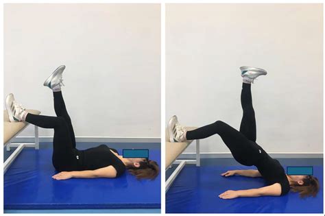 Tailoring Athletic Performance: The Key Function of Hamstring Muscles ...