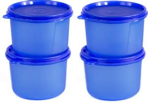 Win Plast Plastic Fridge Container - 450 ml Price in India - Buy Win ...
