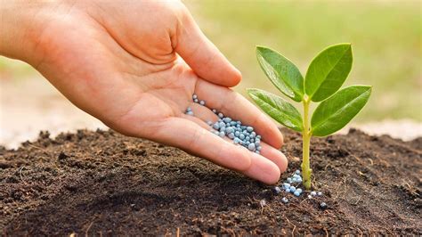 EAS PROFER for PROfitable FERtilizer analysis - Elementar