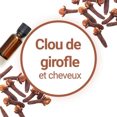 L'huile essentielle de Clou de Girofle est-elle utile pour les cheveux
