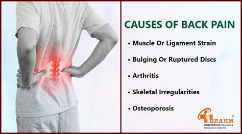 Back Pain | Back Pain treatment in homeopathy | Back Pain in hindi ...