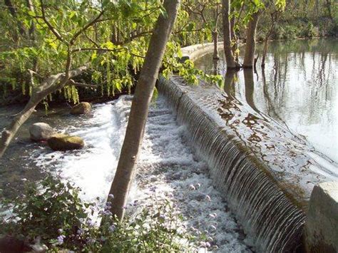 Picnic Spots in Dehradun, Best Picnic Places around Dehradun