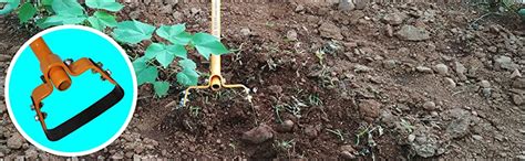 MAHAN HAND TOOLS GHW-6 Gardening Hoes/Manual Weeder/Hand Weeder Without ...