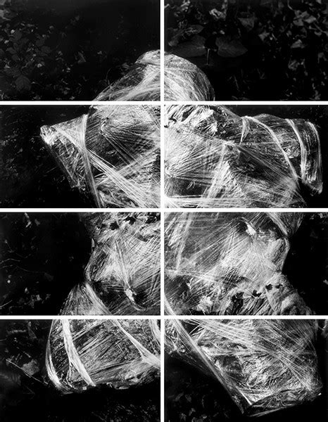 The publication Sceneries provides comprehensive insight into the ...