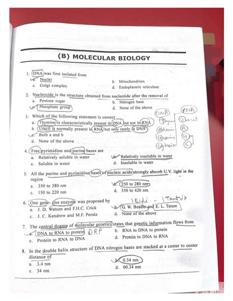 (B) MOLECULAR BIOLOGY 1: Key Questions and Answers - Studocu