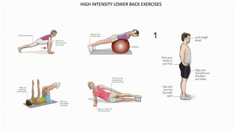 HIGH INTENSITY EXERCISES FOR BACK AND BUTTOCKS