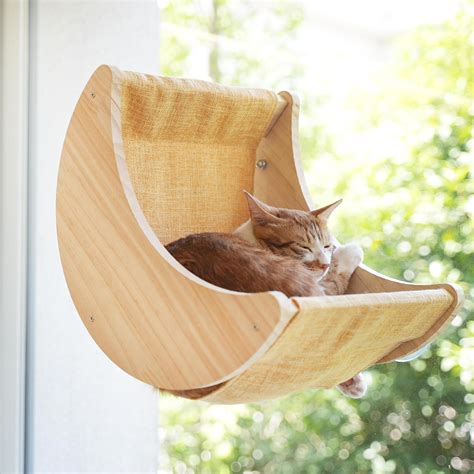 Amazon.com : HAPYKITYS Window Cat Bed Moon Perches, Mounted with Strong ...