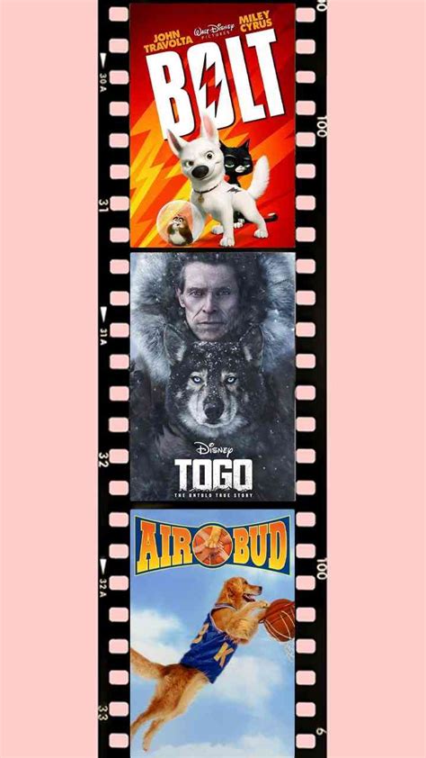 10 Best Movies on OTT That Celebrate the Unbreakable Bond Between Dogs ...