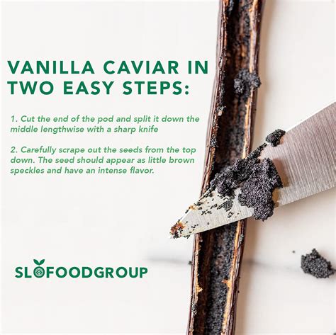 Buy Slofoodgroup - Gourmet Tahitian Vanilla Beans - Premium Grade A ...