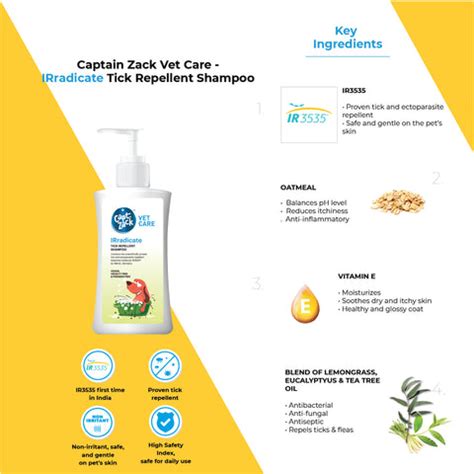 Pet Health Problems During Monsoon
