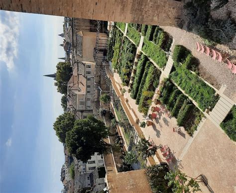 HOTEL MIGNON (Avignon) - Hotel Reviews, Photos, Rate Comparison ...