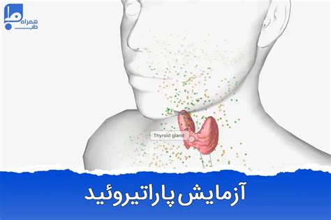 آزمایش پاراتیروئید (PTH) | کاربرد، تفسیر نتایج و نمونه‌گیری در منزل