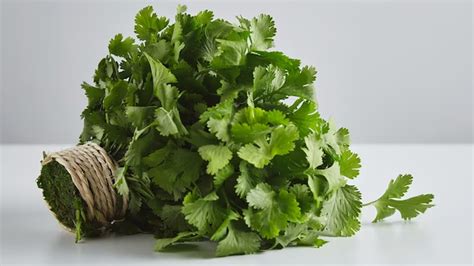 What Are Some Health Benefits Of Cilantro? – NutritionFact.in