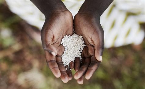 Quarter of a billion people are facing acute hunger: Report