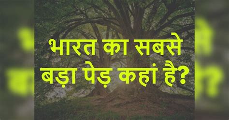 GK Quiz trending Where is the biggest tree in India | Quiz: भारत का ...