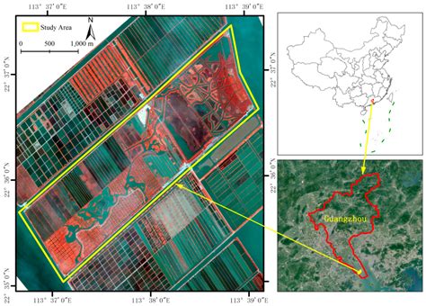 Artificial Mangrove Species Mapping Using Pléiades-1: An Evaluation of ...