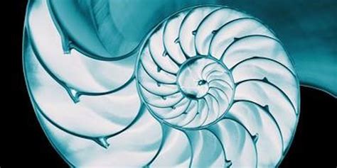 Sacred Geometry Level 1, 1308 SW Bertha Blvd,Portland,97219,US, 25 ...