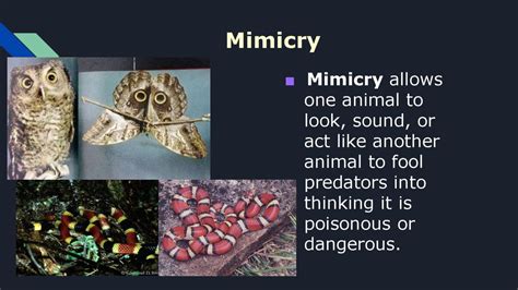 Image result for Applications of Greedy Algorithm