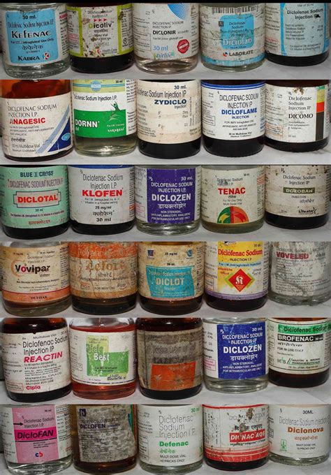 Tightening the ban on a cow medicine can save India’s vultures