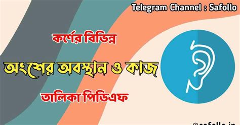 কর্ণের বিভিন্ন অংশের অবস্থান ও কাজ PDF | Parts of the Ear and their ...