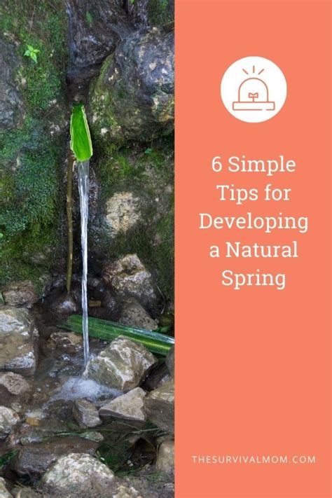 Image result for Natural Spring Development