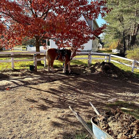 FRANCONIA NOTCH STABLES - All You Need to Know BEFORE You Go 2026 (with ...