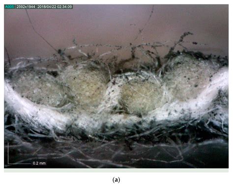 Fluid Flow in Cotton Textile: Effects of Wollastonite Nanosuspension ...
