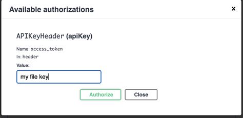 Secret API Key Example 的图像结果