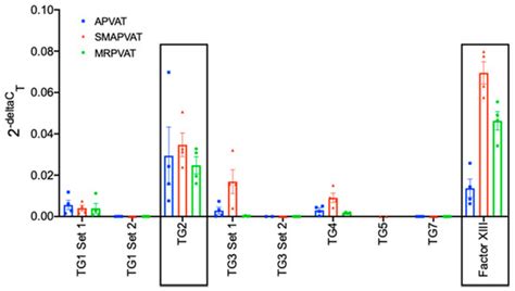 Transglutaminases Are Active in Perivascular Adipose Tissue
