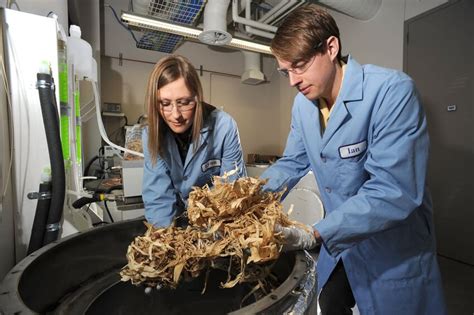 ¿Qué es la biomasa? Definición y características