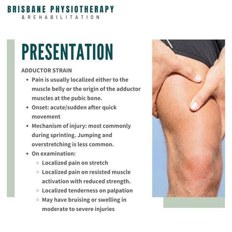 Adductor Muscles - Strength, Strain, Injury, Rehab & Physio - Brisbane Physiotherapy & Podiatry
