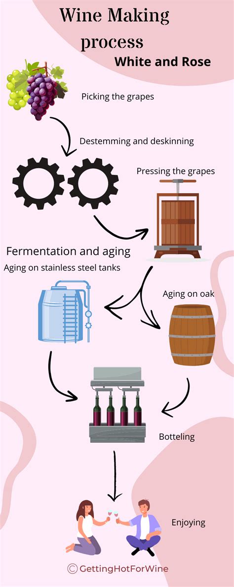Wine Making Process 的图像结果