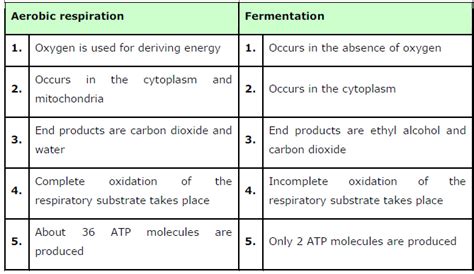 Respiration in Plants ncert solution class 11 Biology