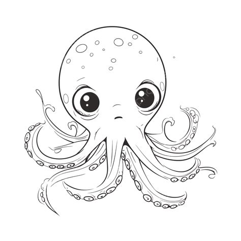 Octopus Colour In Drawing