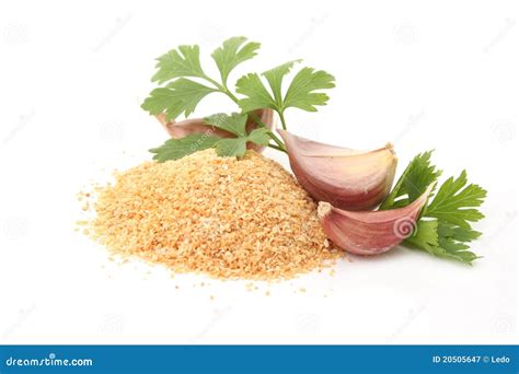 Garlic powder stock image. Image of spice, spices, dust - 20505647