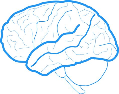 Image result for OpenCV Tutorial Python