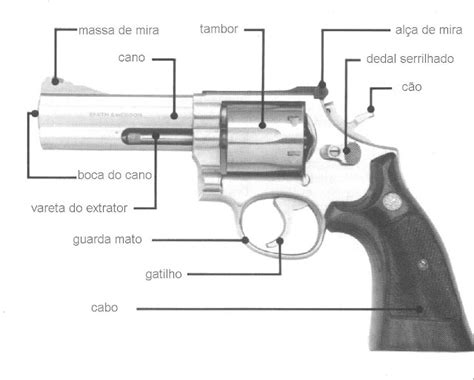 Image result for Example of a Normal Pattern