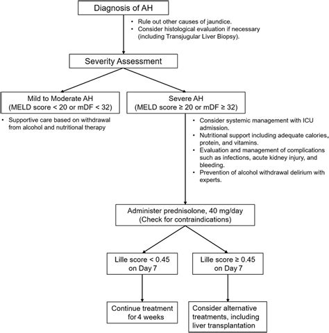 Acute alcohol‐associated hepatitis: Latest findings in non‐invasive ...