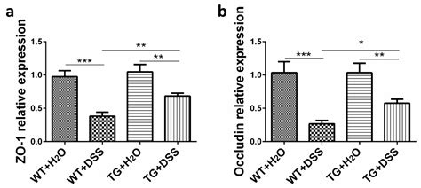 Protective Effects of SIRT6 Overexpression against DSS-Induced Colitis ...