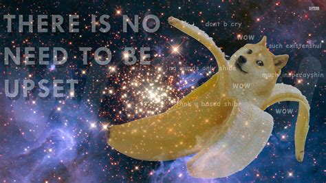The Enduring Appeal of Doge Dog: More Than Just a Meme