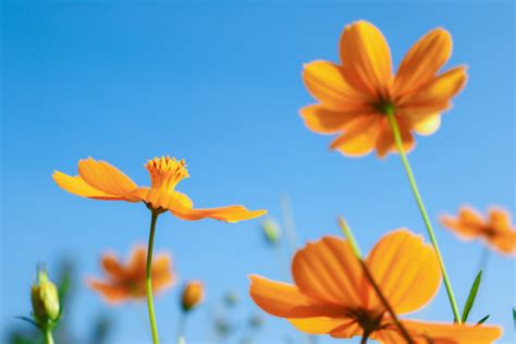 Sustainability | CRIF