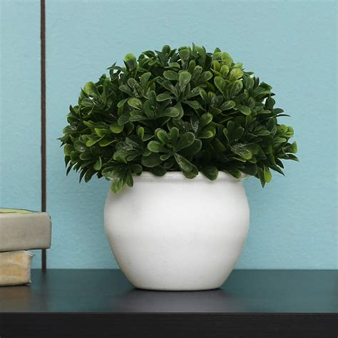 Home Centre Sachi Potted Green Bean Ball Plastic Pot 15cm : Amazon.in ...