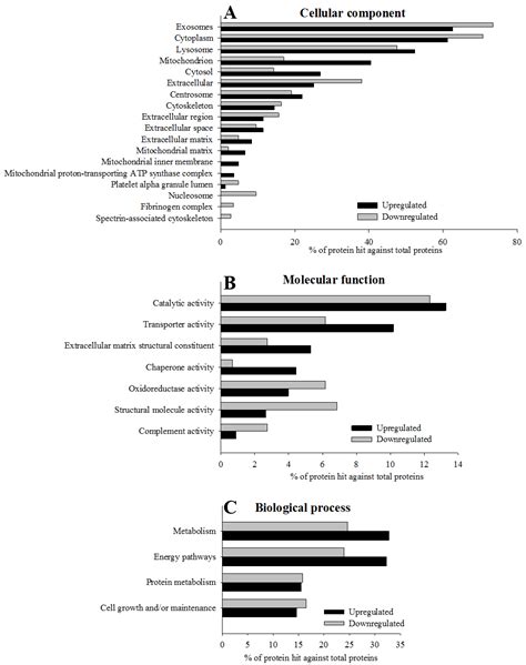 Beneficial Effects of Bariatric Surgery-Induced by Weight Loss on the ...