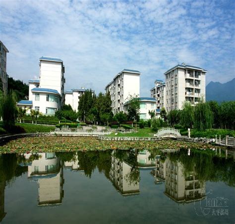 四川农业大学-掌上高考