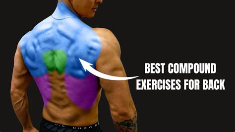 Back Compound Exercises | Built With Science