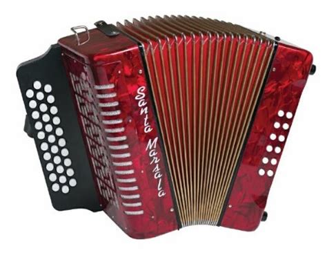 Santa Marsala 3807 Diatonic Accordion with Case : Amazon.in: Musical ...